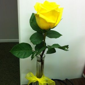 Meet your Posher, Sheri